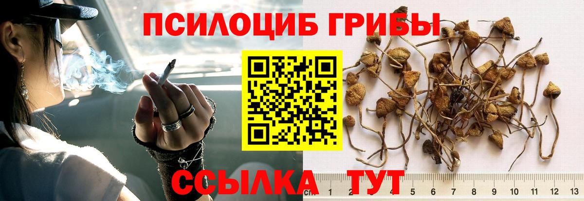 Гай  Псилоцибиновые грибы Magic Shrooms  Вход с VPN 